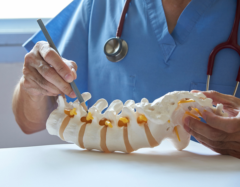 A neurosurgeon using pencil pointing at lumbar vertebra model in medical office